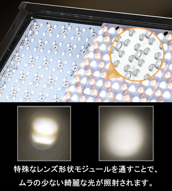LEDライト P80BI｜株式会社サンテック ―写真映像用品商社―
